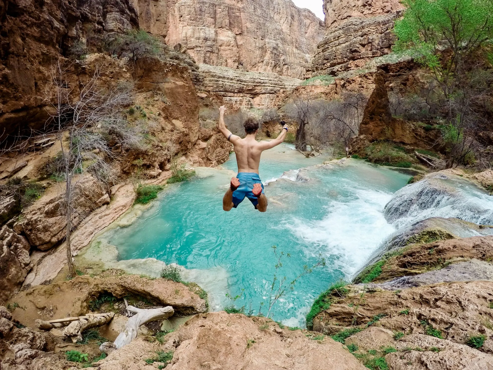 A man leaping from a rock ledge into a turquoise pool in a red canyon, arms raised.