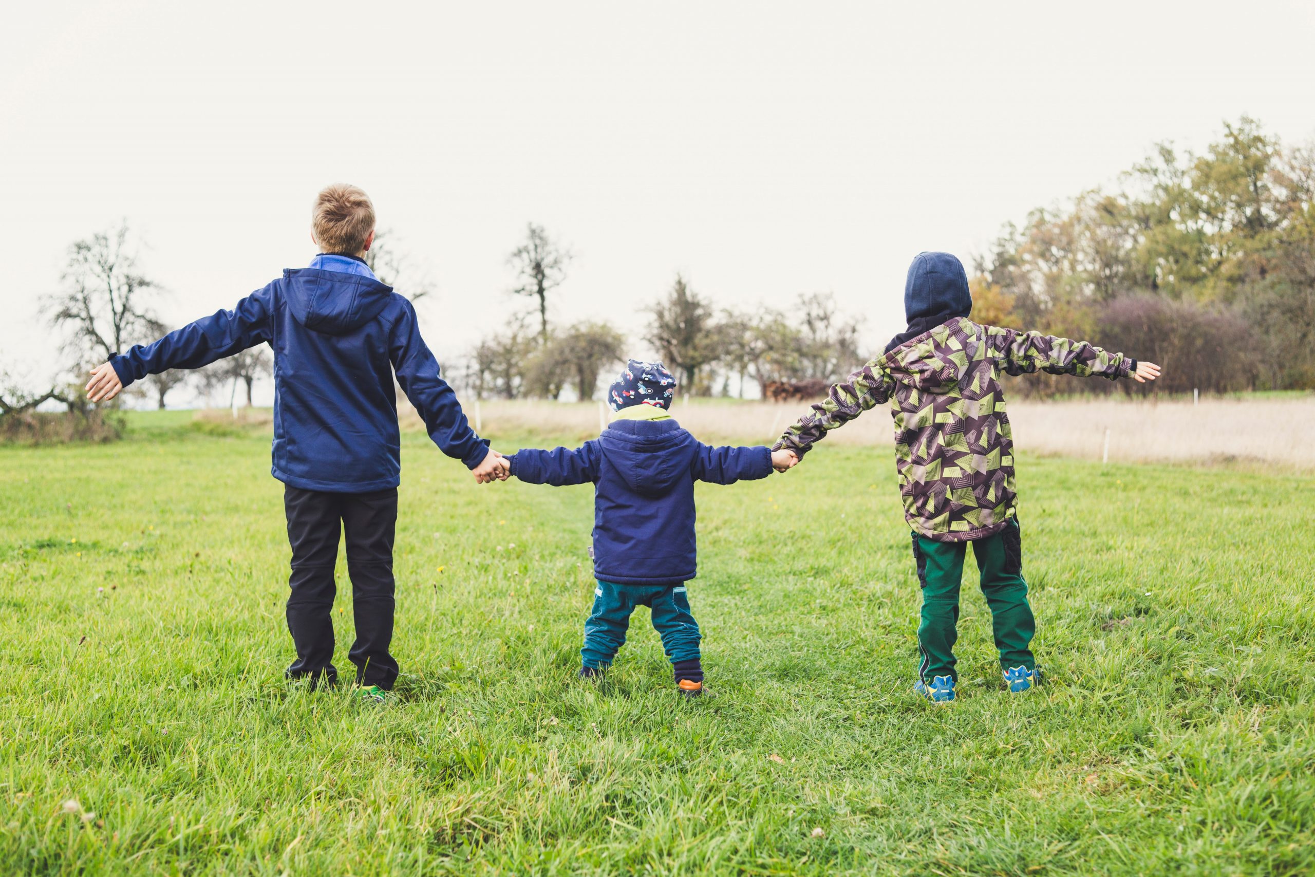 Three children of different ages holding hands in a meadow, photographed from behind - the kind of family moment Torfaen's Online Contact Gateway is designed to safeguard.